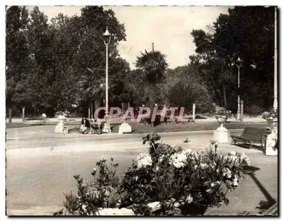 Praça dos Palmeiros — La Baule-les-Pins — Réal-Photo