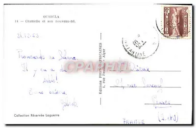 Oszlachetny i jego noworodek — Algérie — EPA ALGER — Rewers