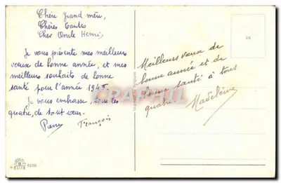 Arranjo de flores — Anêmonas coloridas — Imprimerie Elite, n° 0100 — Verso