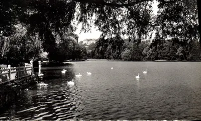 O Lago (Parque da Tête d'Or) — Lyon — Edições G. Chauveau, n° 250