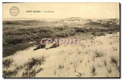 Bilhete postal antigo Bray Dunes Les Dunes