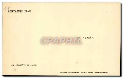 Een Laan in het Bos — Fontainebleau — Universitaire Uitgaven Tourte et Pelitia - Levallois-Paris — Achterkant