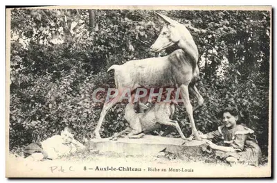 Auxi-le-Château — Cervena no Mont-Louis — Editor Vasseur, imp.-phot.