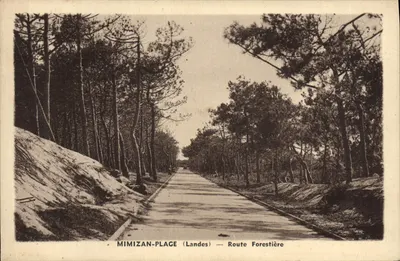 Mimizan-Plage (Landes) — Estrada Florestal