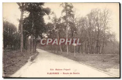 Fleurines — Rua de Senlis — Edit. Madame Frigault