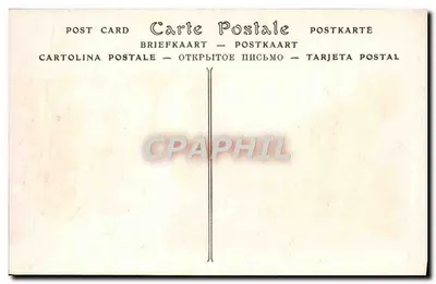 Monte-Carlo — Ogród Kasyna, Kaktusy — ND. Fot. n°757 — Rewers