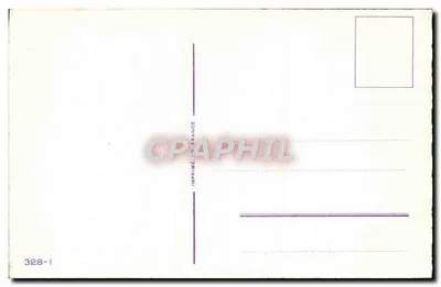 Arranjo de tulipas coloridas — n° 328-1 — Verso