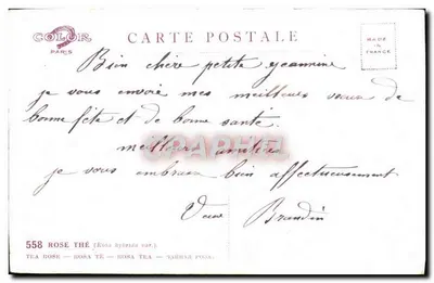 Rose — Goed gezondheid — H. Bartrim — Achterkant