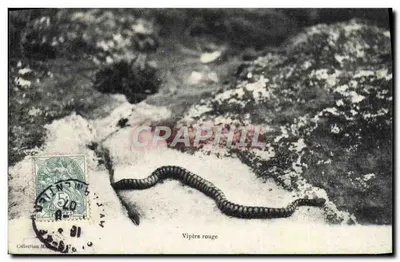 लाल विपर — संग्रह मिस्टर 17 — अज्ञात प्रकाशक