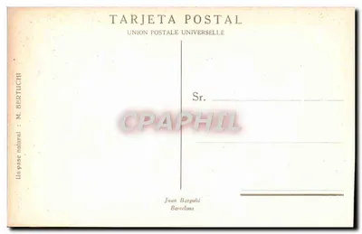 Touro e matador — arena de luta de touro — Juan Bargaño, Barcelone — Verso
