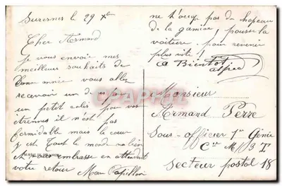 Junge Frau mit Blumenstrauß — Frohe Neujahr — unbekannter Verlag, n° 4563 — Rückseite