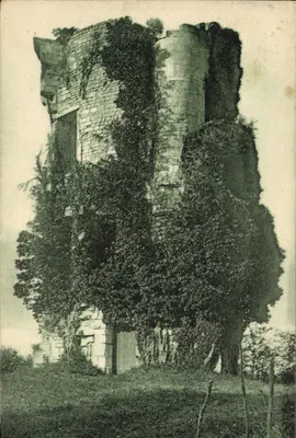 Taillebourg — Vestígios do castelo sob os muros do qual St-Louis da Inglaterra venceu em 1214 — Edição artística R. Borgevin