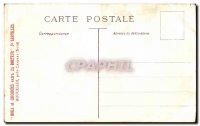Vacche in un paesaggio — Bouchain, vicino a Cambrai (Nord) — Verso