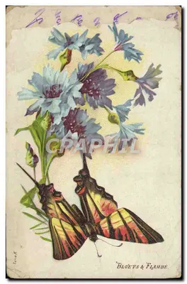 Bilhete postal antigo Bluets Flambe Papillon