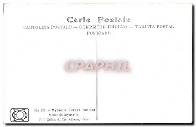 Myosotis — Nie zapomnij mnie — P.J. Gallais & Cie, Paryż, nr 185 — Rewers