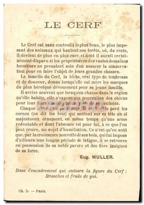 O Cervo — ilustração animal — Ch. D. — Paris — Verso