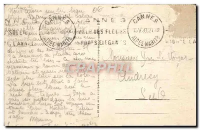 Ilha de Ste-Marguerite — Avenida dos Eucaliptos — Editor A. L. P. n°12 — Verso