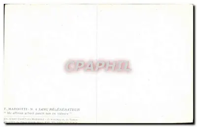 Cruzificação — cena religiosa — F. Margotti, N. 4 Sang Régénératuer — Verso