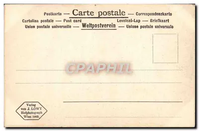 Bissolo - Representação de Cristo no Templo - Galeria Imperial de Pinturas, Viena — Verso