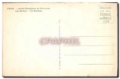 Tarjeta postal moderna París Jardín Zoológico de Vincennes Los búfalos — Reverso
