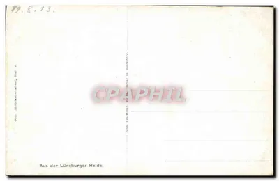 Lüneburger Heide — krajobraz rzeki i wysokiej trawy — Otto van Knold, Lüneburg — Rewers