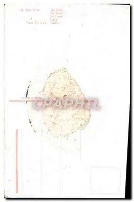 Lions — pintura de Tade Styka — editor desconhecido, n° 136 — Verso