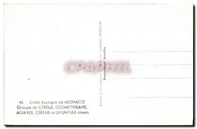 Jardim Exótico de Mônaco — Grupo de Céreus, geométrisans, agaves e opuntias diversos — Edição à La Cigogne n° 45, rue Grimaldi, Mônaco — Verso
