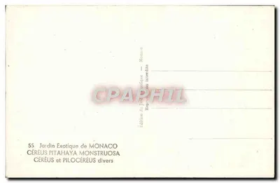 Jardim Exótico de Mônaco — Céréus e Pilocéréus diversos — Edição Mônaco — Verso