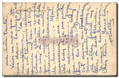 Palmáceas em Hyères — Avenue Godillot — editor desconhecido, n° 705 — Verso