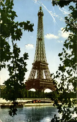 La Tour Eiffel — vue depuis les arbres — Éditions Inter Color, n°9