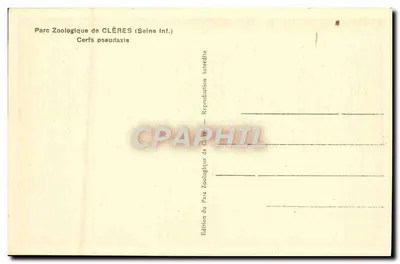 Cervos pseudaxises — Parque Zoológico de CLÈRES (Saine Inf.) — Edição do Parque Zoológico de Clères — Verso