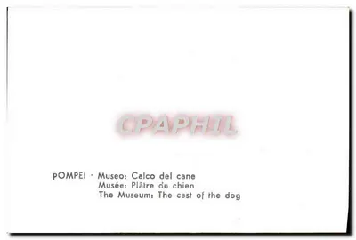 Pompeya — Museo: Plaster del perro — Reverso