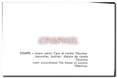 Pompeii — new excavations — House of Loreius Tiburtinus — Back