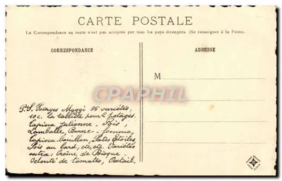 Dinan — Rue du Jerzual — G. Fraipont — Collection Maggi — Rewers