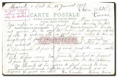 Fleurs violettes et rubans — Souvenir Affectionné — éditeur inconnu — Verso