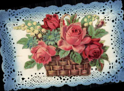 Arranjo de rosas em um cesto — editor desconhecido, número de série não visível