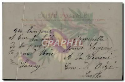 Fleurs de marguerites — Bonne et Joyeuse Fête — Carte postale de correspondance — Rewers