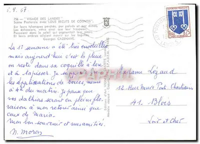 Cena pastoril com 'Louis Becuts' — Vignes, n°756 — Verso
