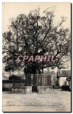 A Velha Carvalha de SAINT-VINCENT-de-PAUL na primavera — editor não visível