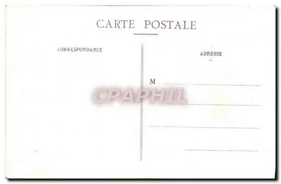 Nice - Ogrody Gambetta - Palmy - B.F. n°29 — Rewers