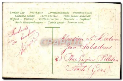 Bouquet de primevères — Souvenir d'Amitié — Éditeur non visible — Rewers