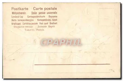 Cupidone — con una grande fioritura bianca — — Verso