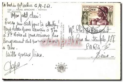 Leopard — Afrykański panter — Wydawca HOA-QUI — Rewers