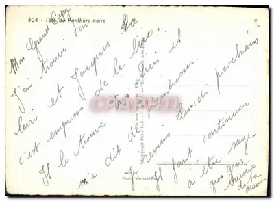 Cabeça de Pantera Negra — Edições Photo L. Ric - Paris, n°404 — Verso