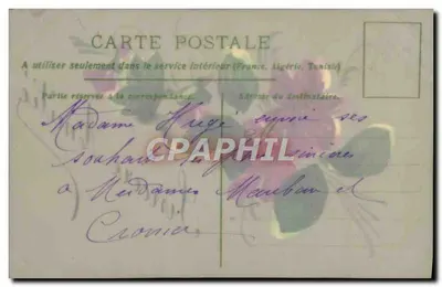 Flores violetas — cartão postal francês — editor não visível — Verso