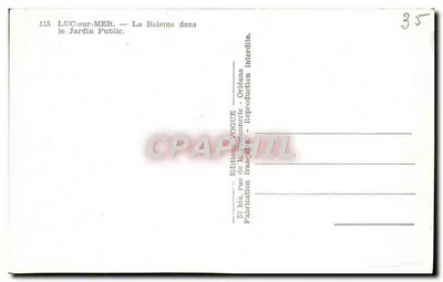 Luc-sur-Mer — La Ballena en el Jardín Público — Edición YOGUE — Reverso