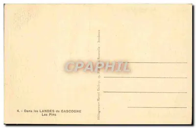 Les Pins — Nas Landas da Gascogna — Héliogravure Marcel Delboy, 19, Rue de la Rounseille, Bordeaux — Verso