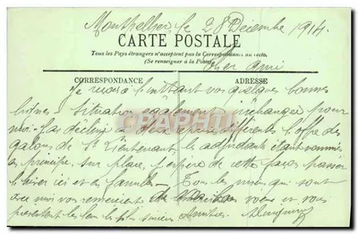 Montpellier — Katedra — Nef — LL. — n°32 — Rewers