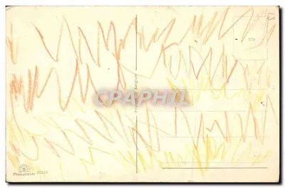 Pies pasterski — ilustracja kolorowana — Photocolor 52153 — Rewers