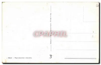 Pies i szczeniaczek collie — w kwitnącym ogródku — n° 920/2 — Rewers